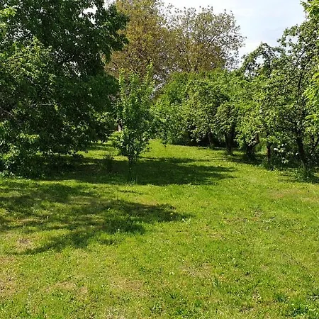 Ubytovani-prostejov Prostějov