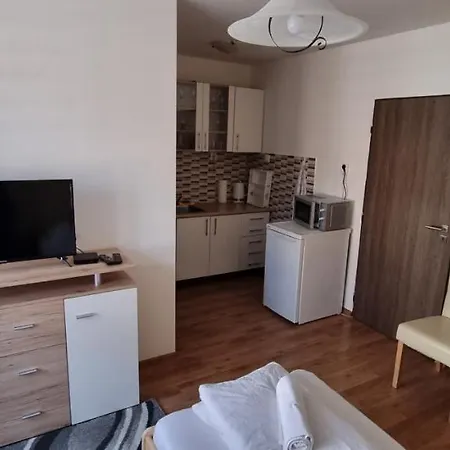 Ubytovani-prostejov Apartment